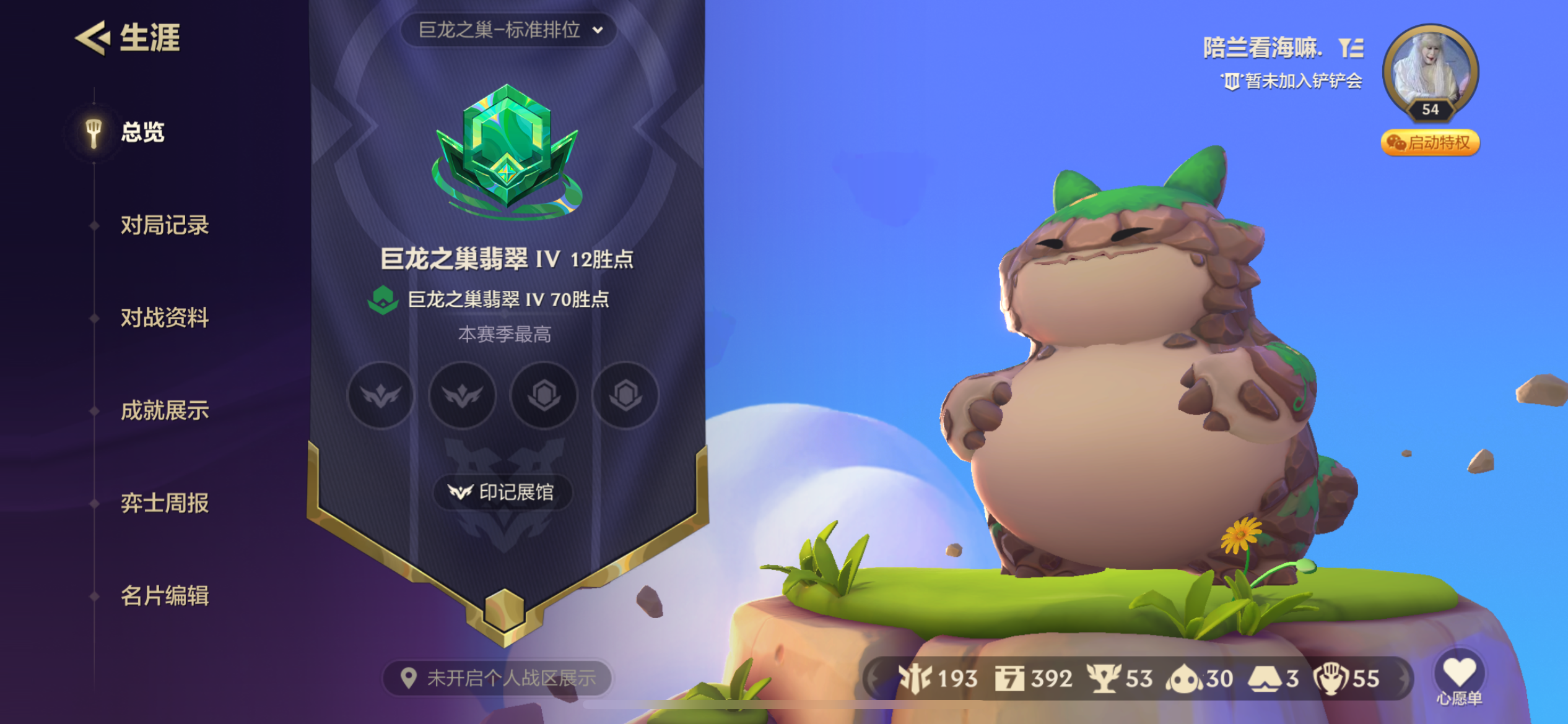 金铲铲之战陪玩服务