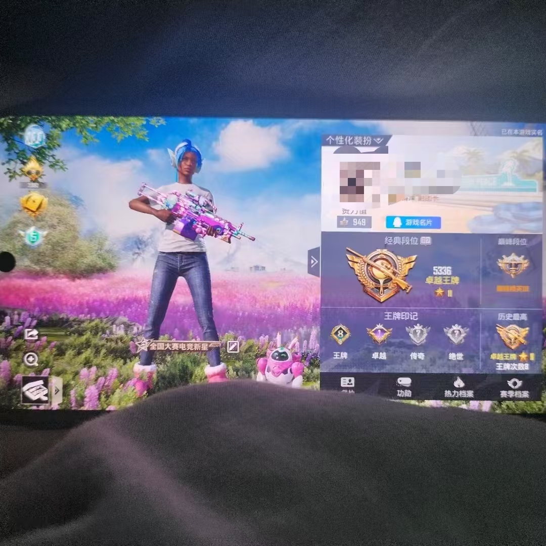 和平精英陪玩服务