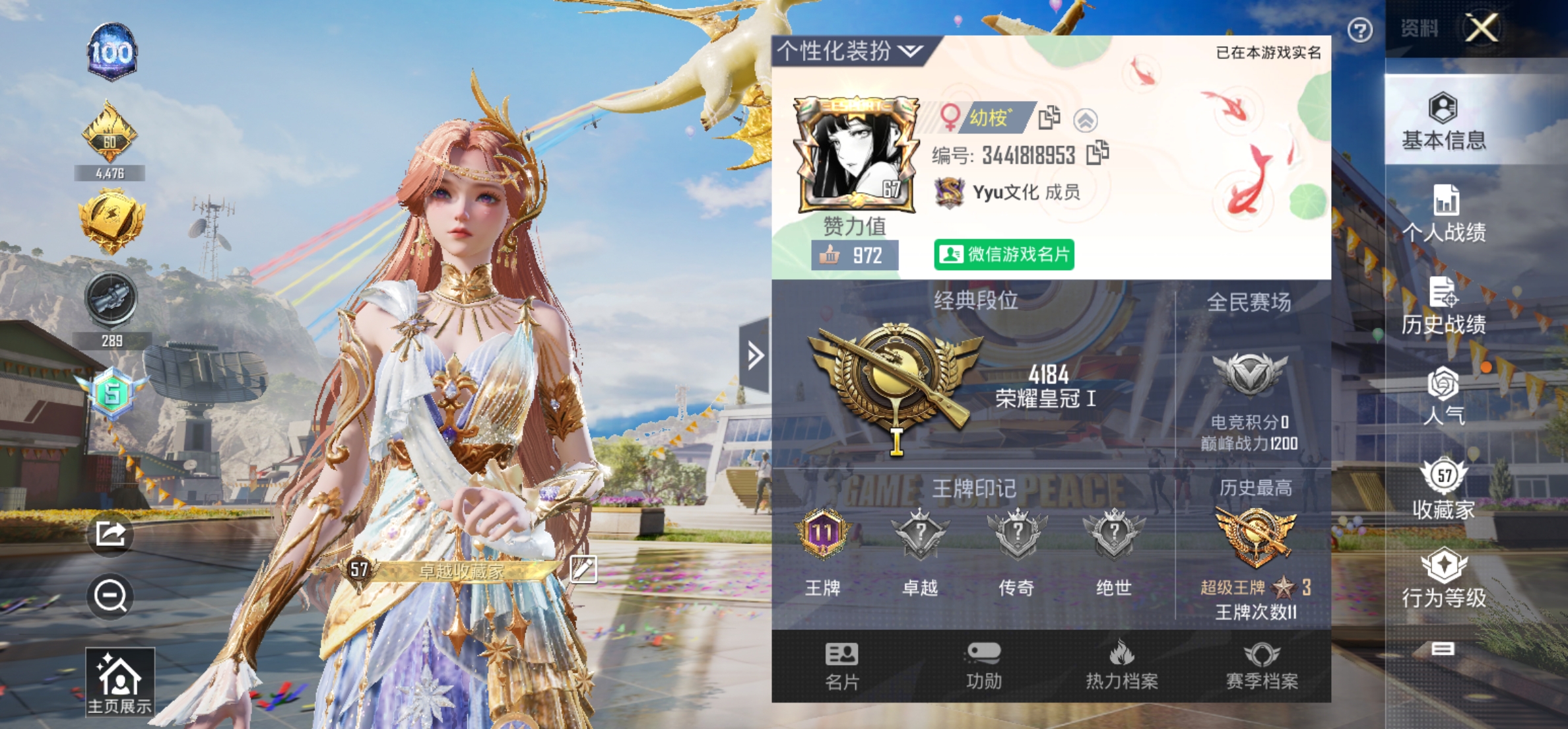 和平精英陪玩服务