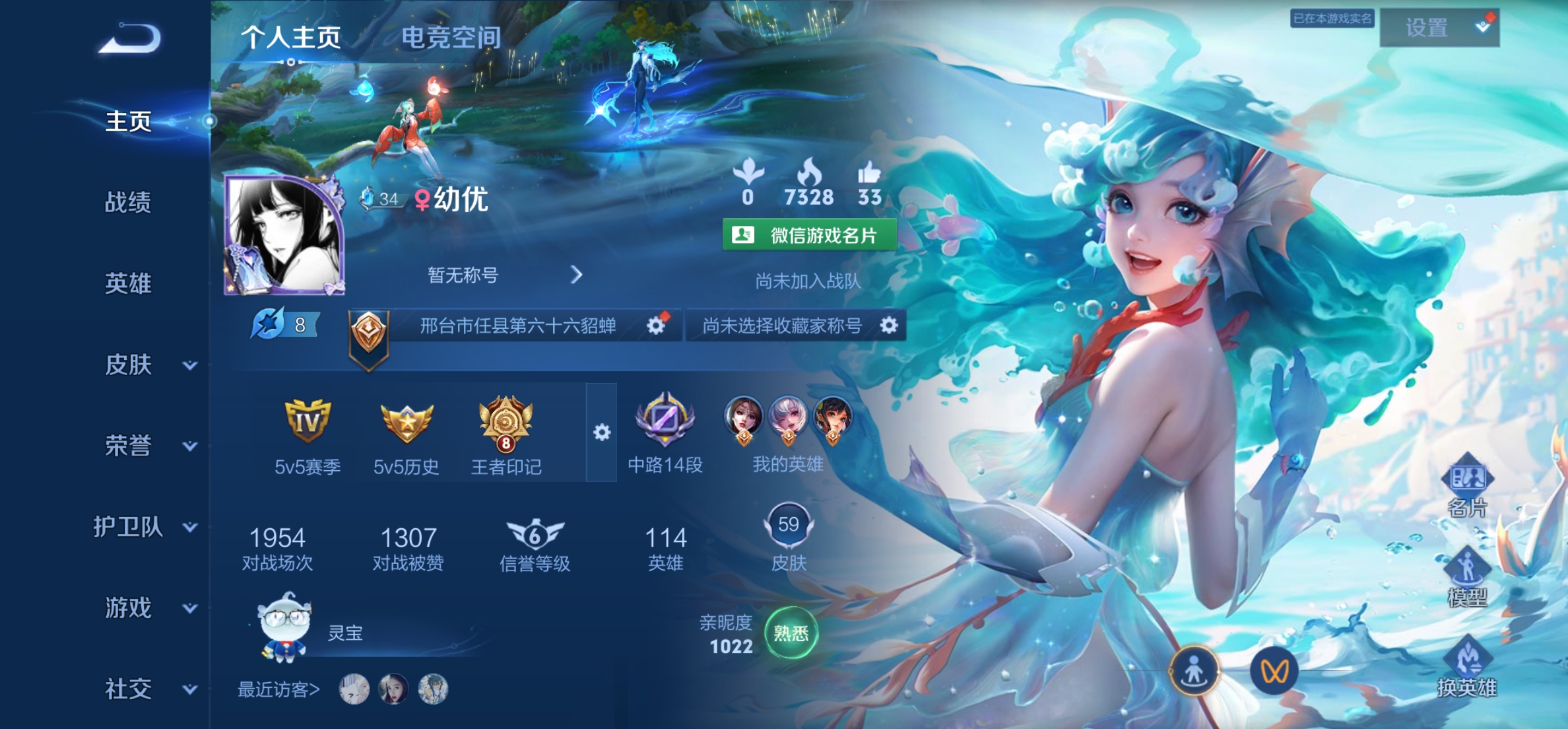 王者荣耀陪玩服务