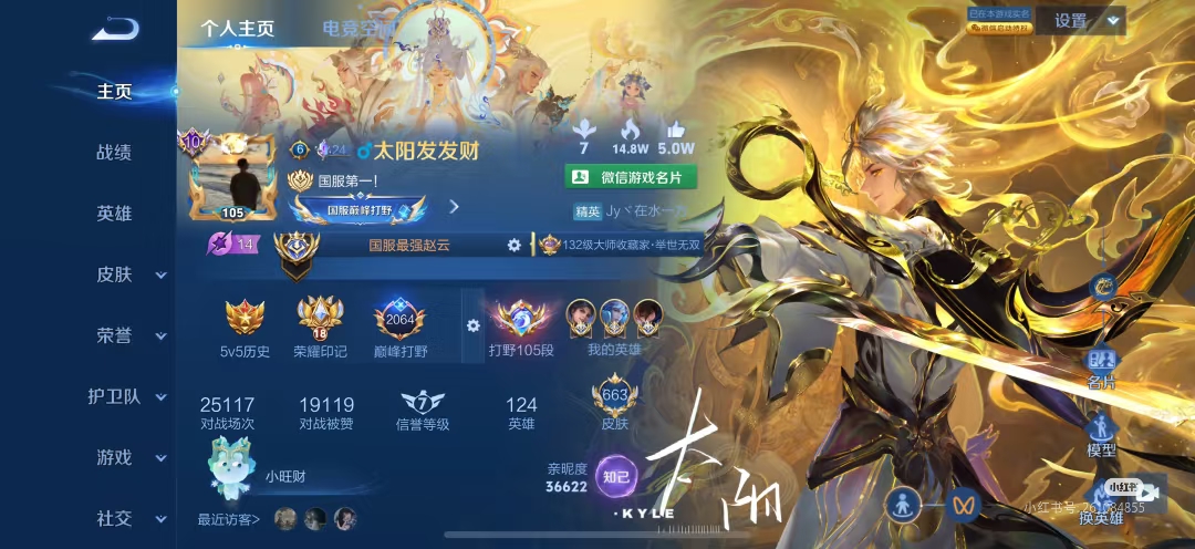 王者荣耀陪玩服务