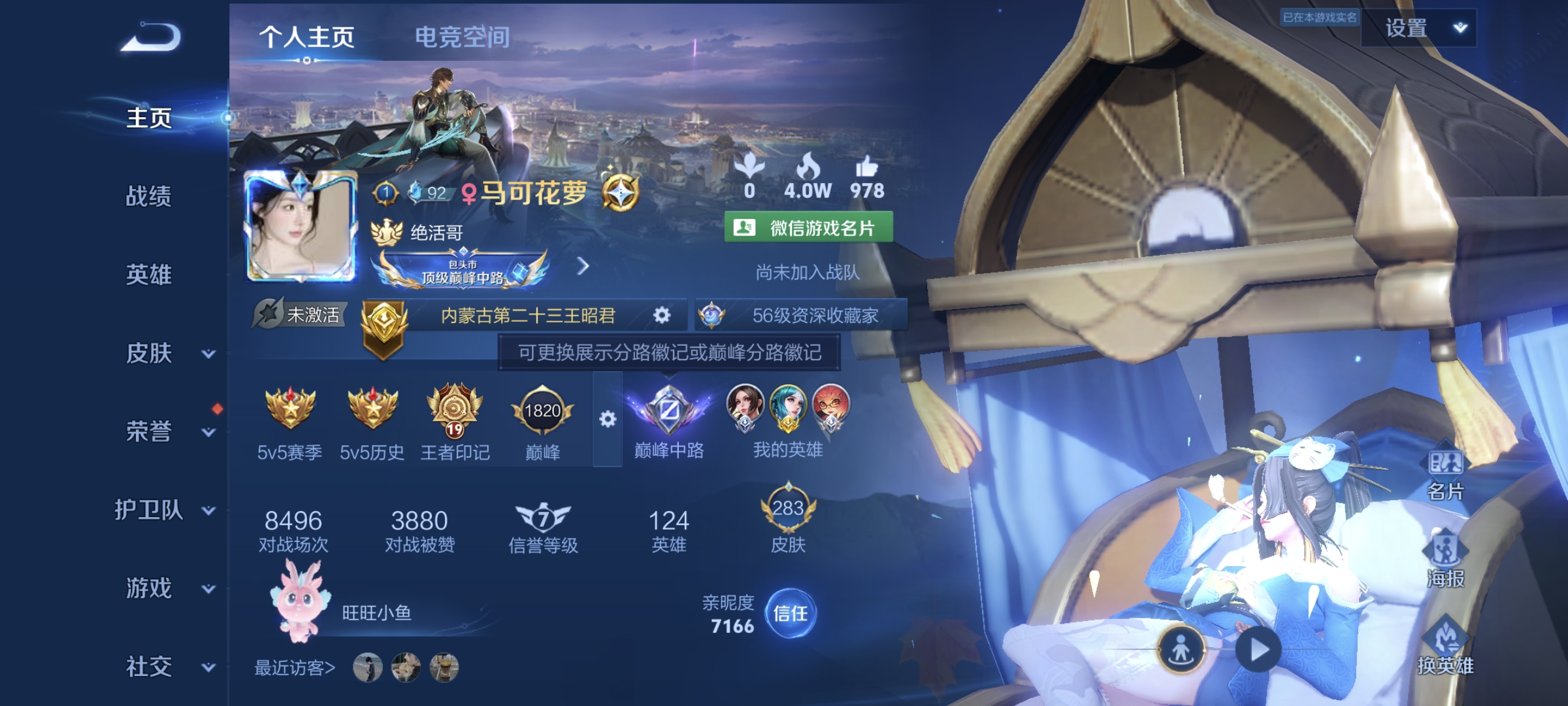 王者荣耀陪玩服务