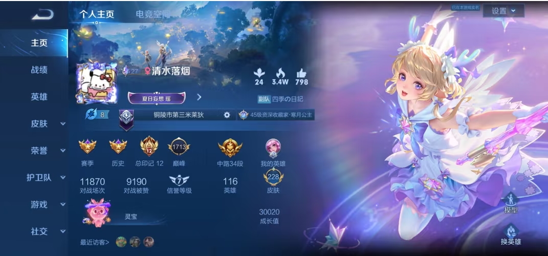 王者荣耀陪玩服务