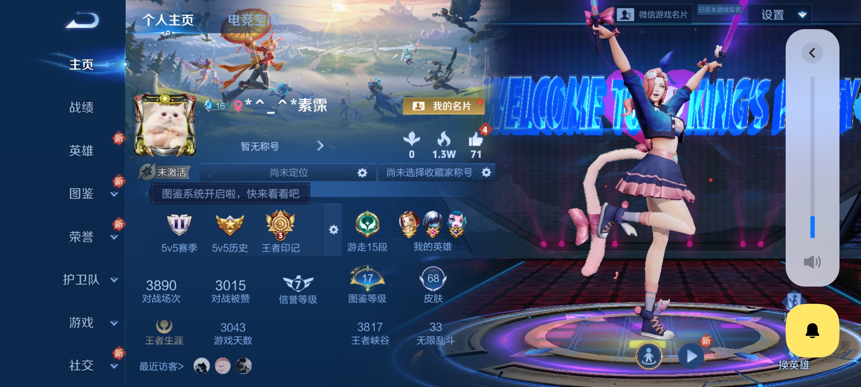 王者荣耀陪玩服务