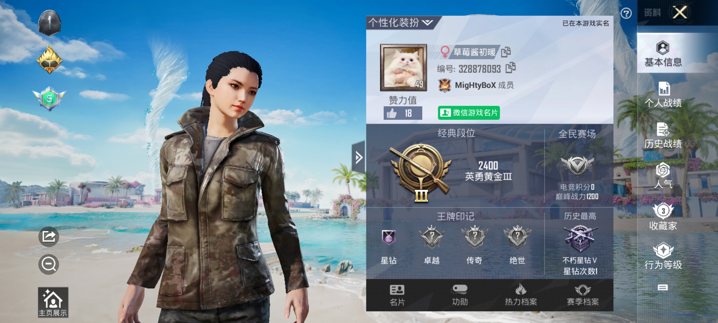 和平精英陪玩服务