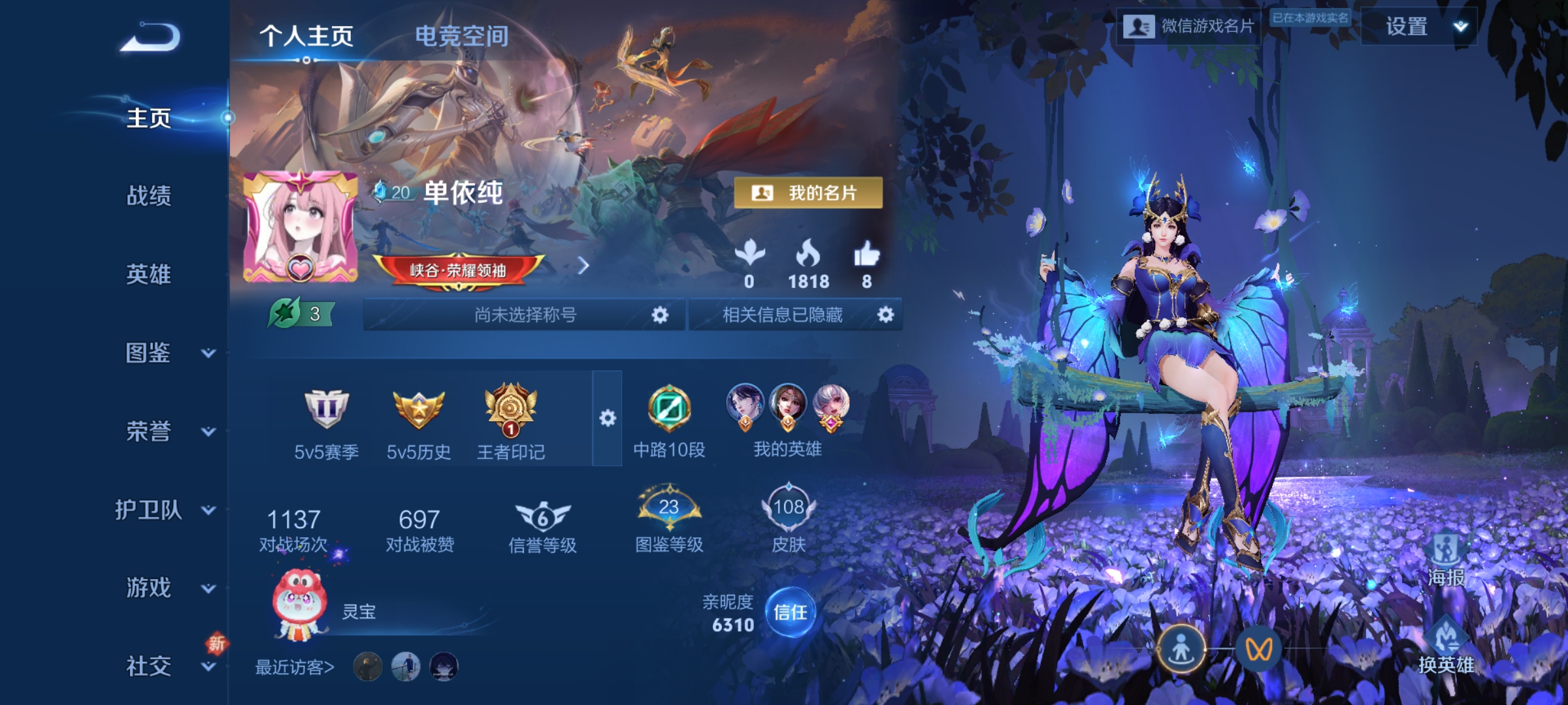 王者荣耀陪玩服务