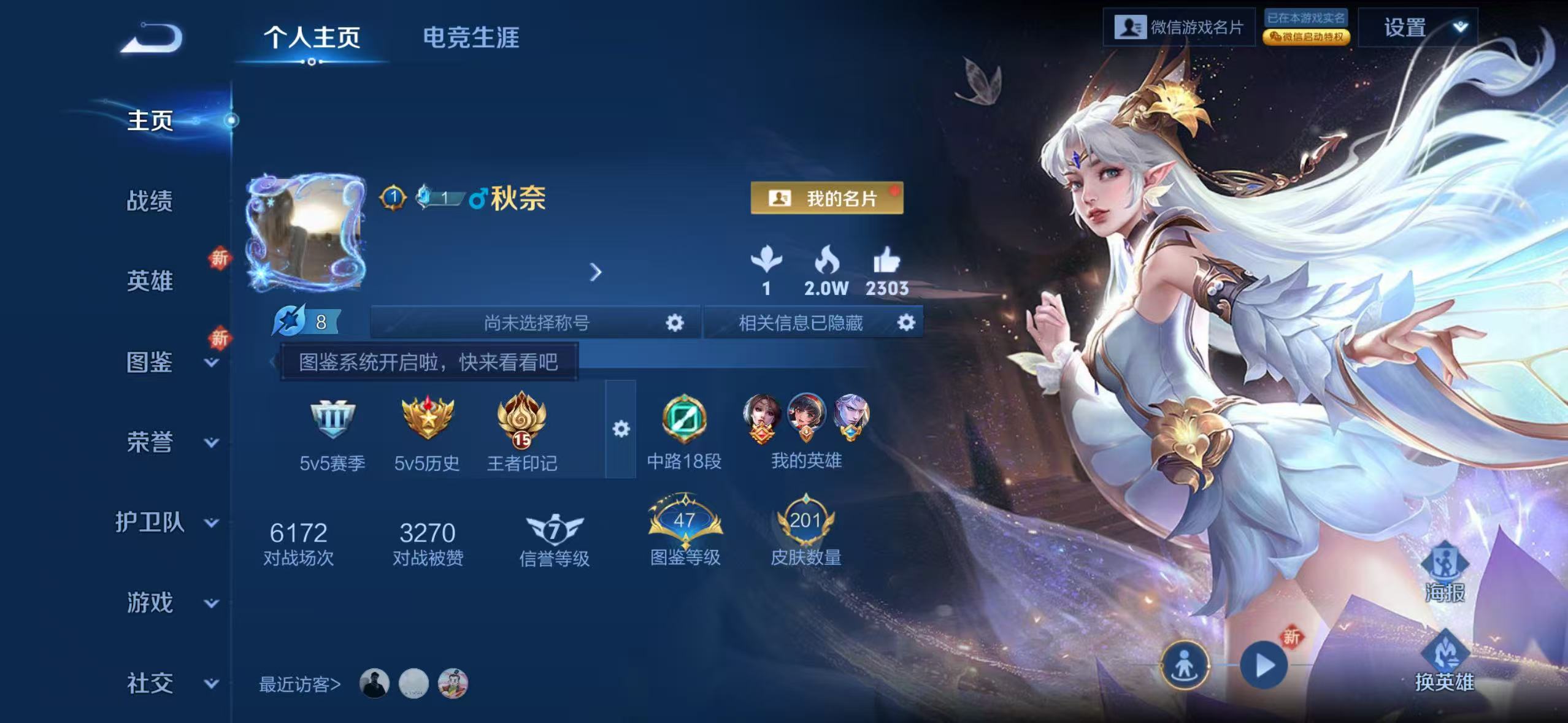 王者荣耀陪玩服务