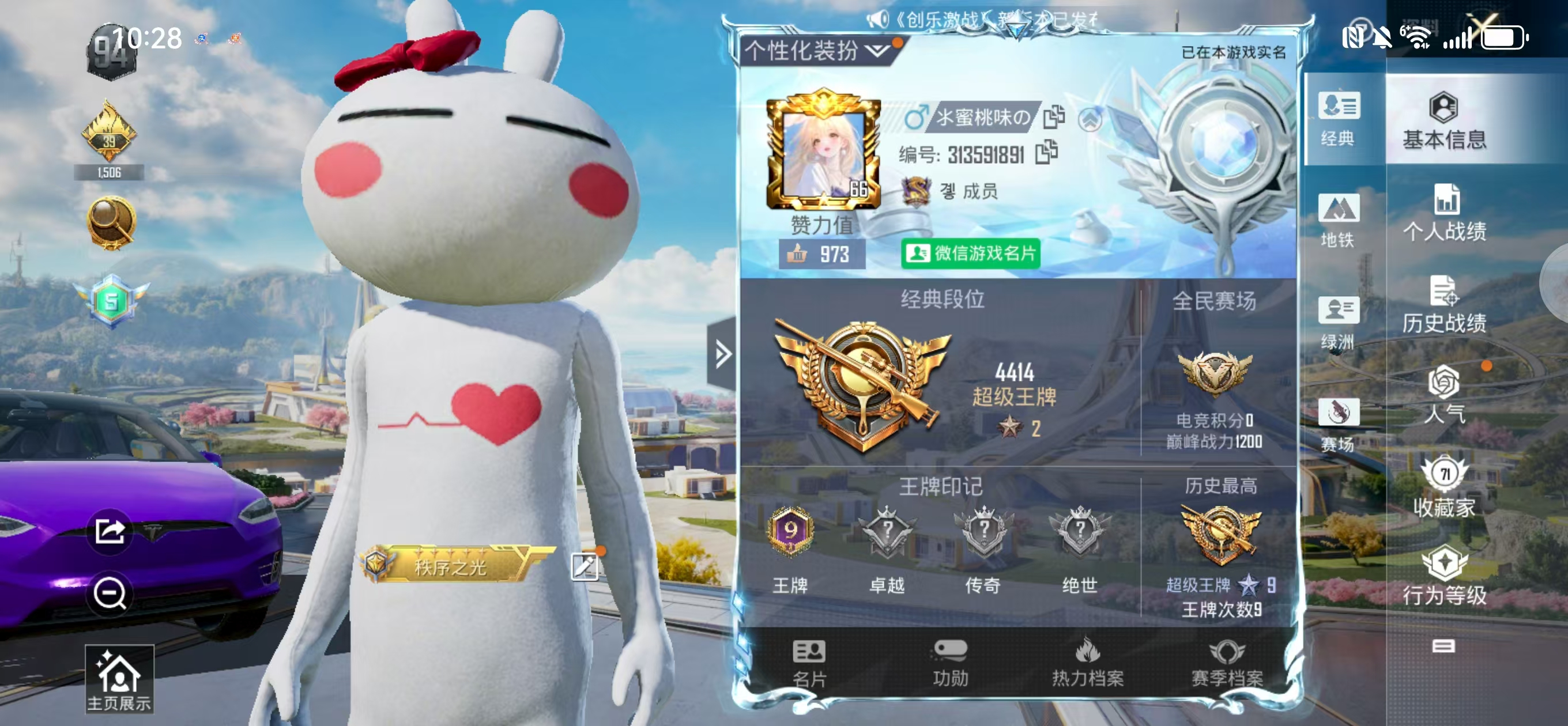 和平精英陪玩服务